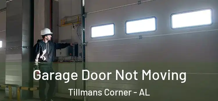  Garage Door Not Moving Tillmans Corner - AL