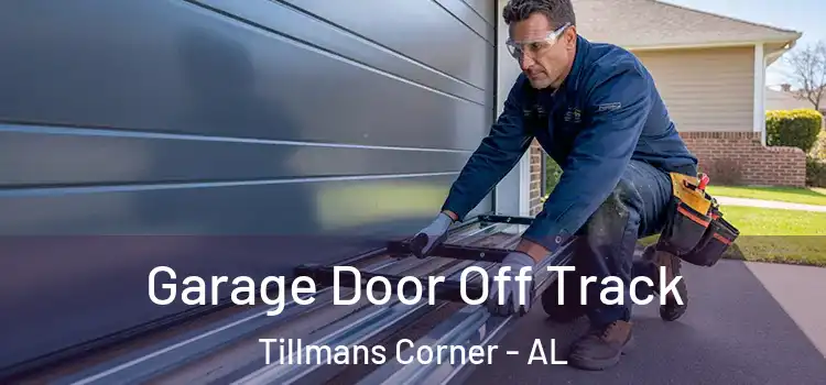  Garage Door Off Track Tillmans Corner - AL