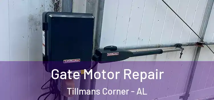 Gate Motor Repair Tillmans Corner - AL