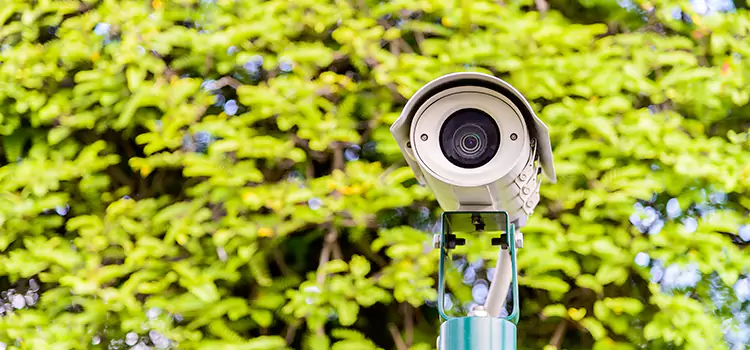 Advanced Surveillance Solutions for Every Need in Tillmans Corner
